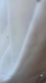 Asian Angel 28306
