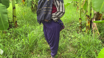 SAFI TV: Komşumu muz çiftliğine götürdüm ve ona sarıldım ve sikişmeye başladım