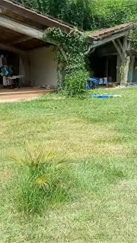 Having Some Fun with a Toy
