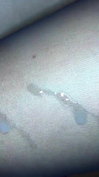 Külotlu çorap içinde büyük çift bacaklı döl