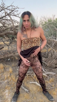 Desert Fun