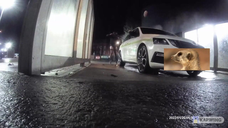 Lingeriemanx69: Car wash in stockings 1