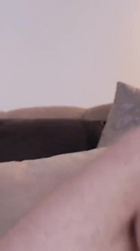Staxus:: A Fuga