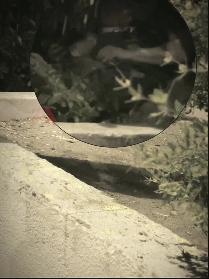 AmateurMates: Amatorski chłopak ssie faceta, którego znalazł szarpanie na ulicy