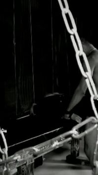 Trailer 376