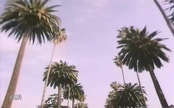 Vintage Vixens: Beverly Hills nostaljik seks kaseti - Hollandalı altyazılı
