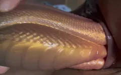 Pertama kali dengan mainan naga yang buruk