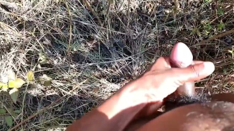 Desi Tits: Desi Indian Sex Jungle Fucking Xxx Video