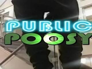 Ass Monkey: 肛交暴露蒙太奇 - 炫耀我的菊花 - dj Buttpussy