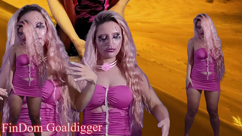 FinDom Goaldigger: meri bekaar viry randi