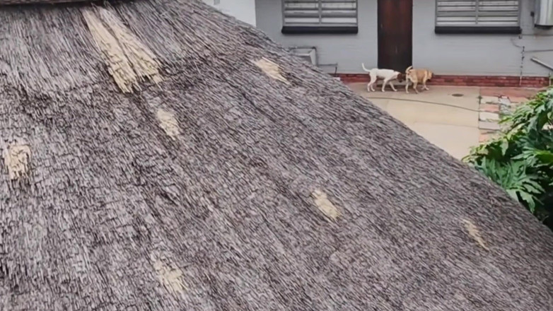 Bigjoefuckalott: Зловив моїх сусідів на траханні під час польоту з моїм дроном