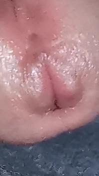 The Dick Growls at Its Owner