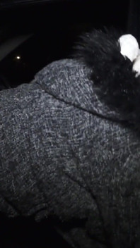 Blond dogging milf slampa suger av massor av främlingar kukar och blir täckt av sperma