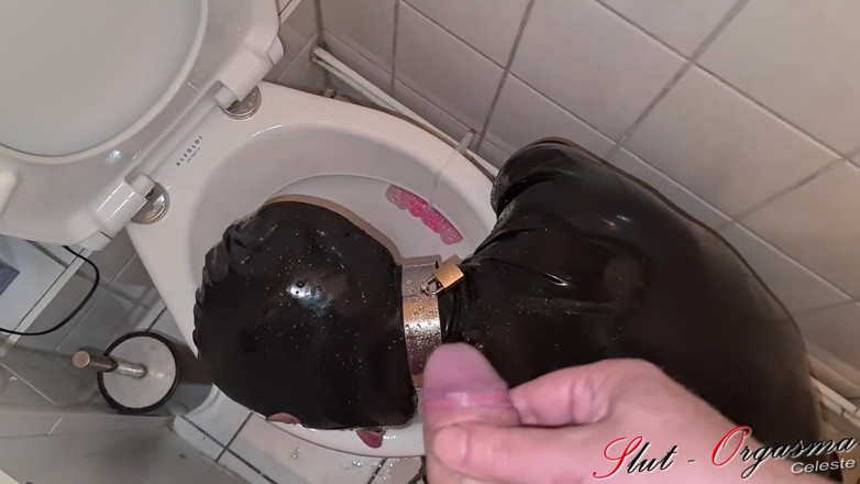 Slut Orgasma Celeste: Slave Slut - Orgasma Celeste em látex, bebendo mijo e limpeza...