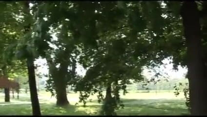 Old PIGS XXX: La hermanastra del carpintero Gianni - dvd
