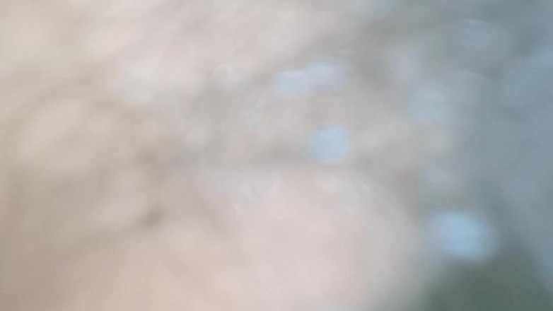 PARAMANANDA: La notte di mia moglie