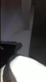 義理の叔父が私のコンピューターで私のポルノを見つけた
