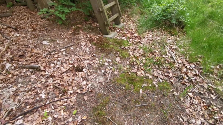 Bouncy Tits Action: Beautyful Tits Hardly Slapped