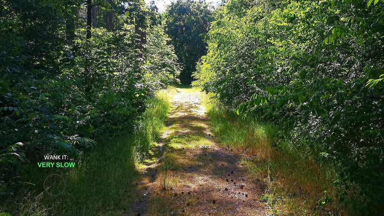 Bouncy Tits Action: The Wank game 2 - चूत और स्तन - वीर्य न निकालने की कोशिश करें