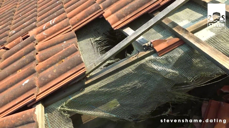 Steven Shame: Ngentot di luar ruangan - arteya si gadis remaja rambut pirang...