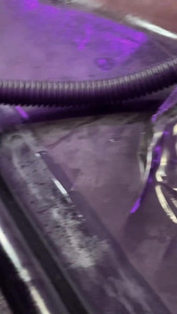 Ventra Vac 8 [moment]