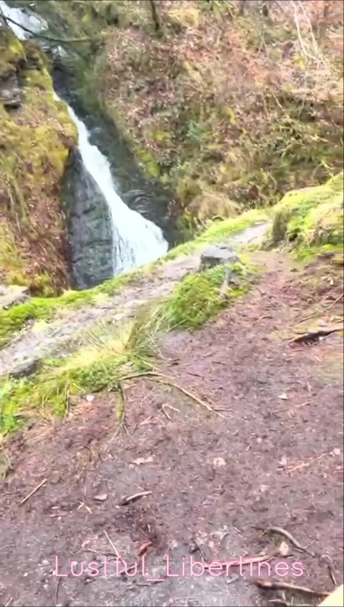 Lustful Libertines: ちょっとした森のセックスと吸いしぶり