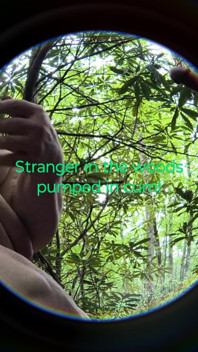 Bended This Stranger Over in the Woods Tree Covered