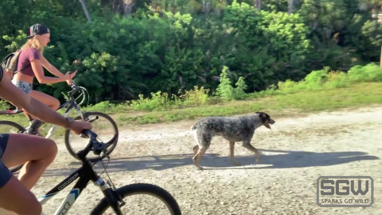 Sparks Go Wild: Biking in Thongs and Fucking Outdoors