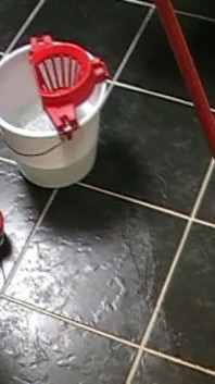 Pee in Bath