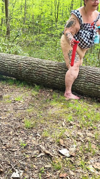 Pepek menggembirakan balak pokok memancut babi gemuk