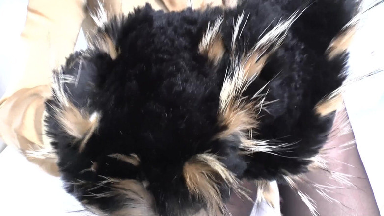 Lady Victoria Valente: Ejakulationstraining: an Pelz Schal Schnüffeln Und Abspritzen, Lady Victoria Valente