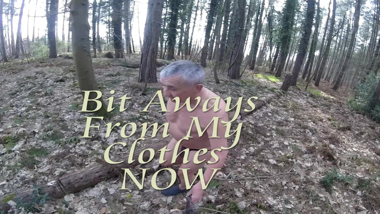 Andy: ウォーク12 2025