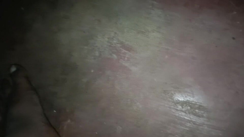 LegalVector8: Индийский паренек