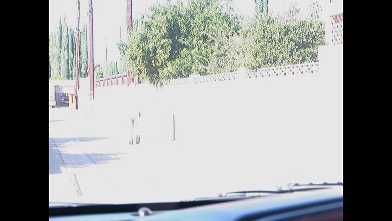 Porn4Life: Sesso Di Britney Kane Con Passione Infinita