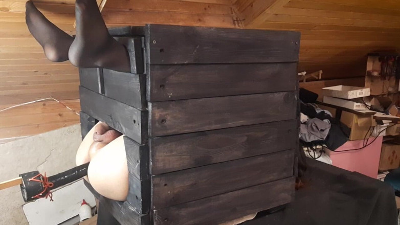 DiiVampy: Trapped in a Crate - Machine Anal Fuck