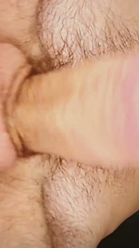 Will You Suck My Hairy Balls?