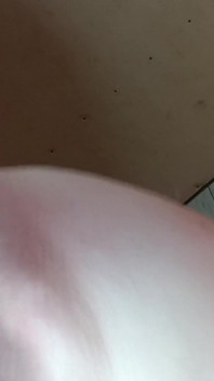 Oh Bert Fuck My Gloryhole Ernies Not Here Make Me Squirt Big Cock Bert