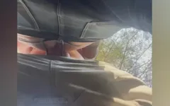 Bent Over Between Some Trees, He Gets It Rough and Raw