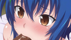 PRZNAI: Dxd Xenovia Quarta Slepice