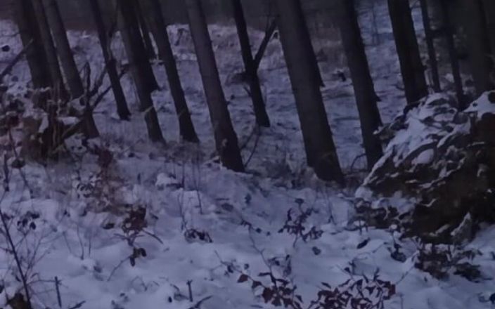kickerscooter: Natura nuda in inverno
