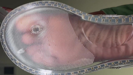 Pink Foxx: Pink Foxx Tertezli Terlik Içinde