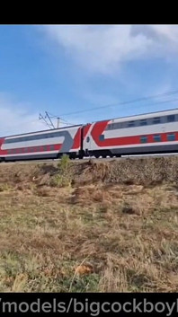 Maricas fodida em um trem por paus grandes com cordas de porra, bareback exclusivo!