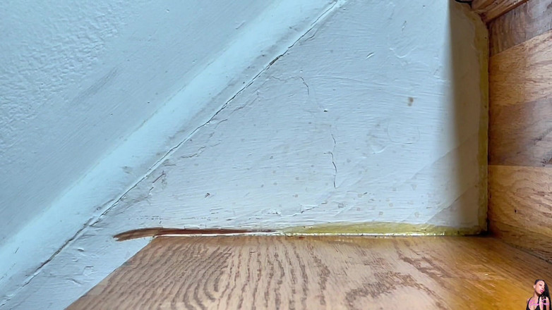 Pink Foxx: Subiendo y bajando escaleras