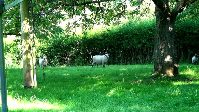 German Porn: Une MILF Veut Aller Faire Du Shopping Et Se Laisse...