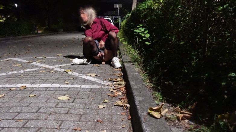 Loreleyadd: Foda-se meu vibrador no estacionamento de meias
