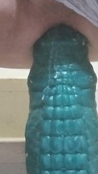 CD reitet großen Krokodildildo und kommt