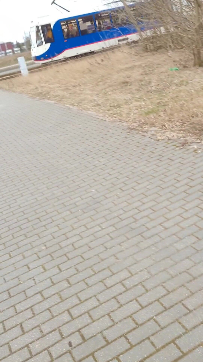 KatrixandCaliforniaLatex: Kadın egemenliği katrix tarafından açık havada emiyor