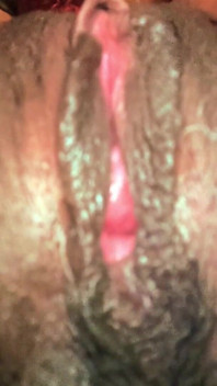 All My Pussy