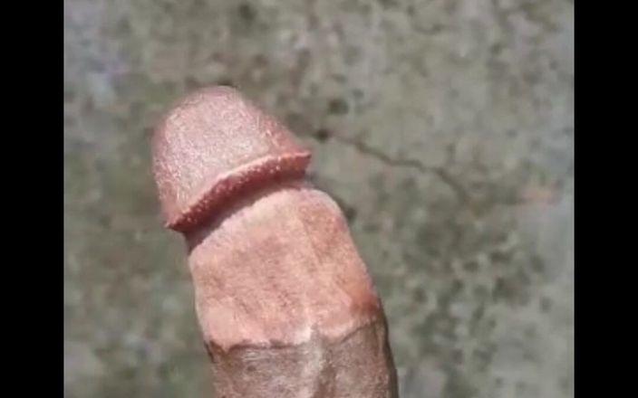 Rex Bitchington Blade: Açık havada oyun derlemesi