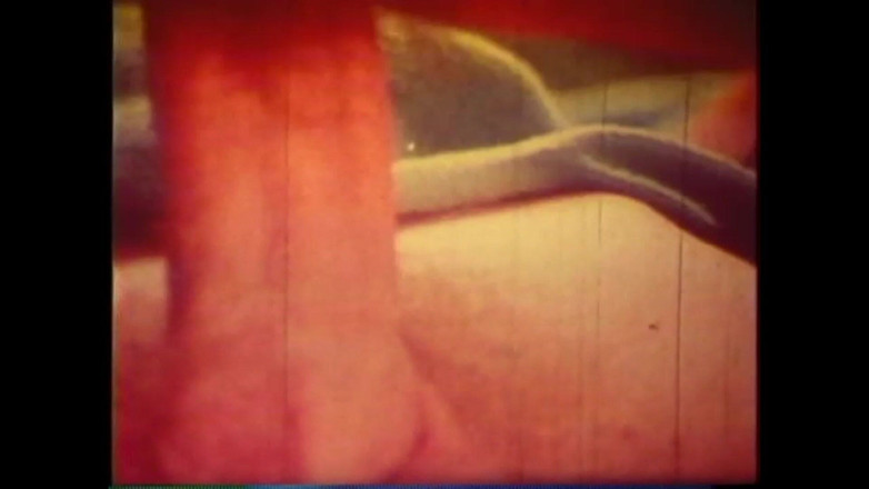 The Unforgettable: Domuz Heyecanlandırıcı